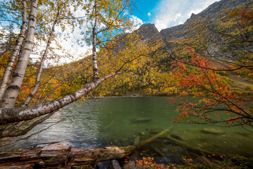 Fototapeta na wymiar autumn lake near of the forest in the mountains