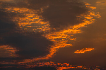 
golden orange clouds at sunset background