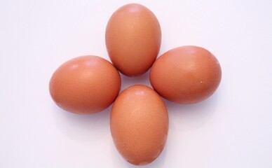 eggs on a white background