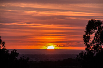 Los Angeles Landscape from Overlook