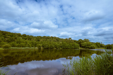 Landscape of lake and woods in Brockholes, Lancashire, northern England