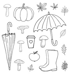 Vector set bundle of hand drawn doodle sketch autumn elements isolated on white background