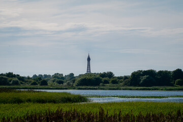 Fototapeta na wymiar The landscape of the Marton Mere Local Nature Reserve in Blackpool showing the lake and distant tower