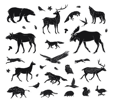 Vector set bundle of black hand drawn doodle sketch wild forest animals isolated on white background