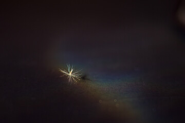 speck of dust