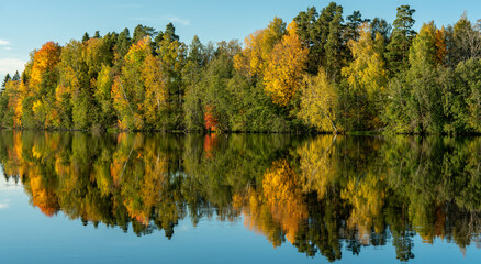 Obraz premium Colorful panorama view of autumn colored trees along a river in Sweden