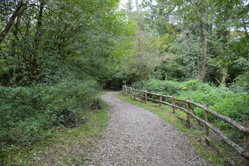 Orvault - La vall&eacute;e du Cens