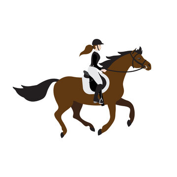 ￼Vector flat cartoon girl woman riding a galloping chestnut brown horse in show jumping competition isolated on white background