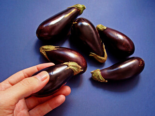Mini eggplants on blue background 