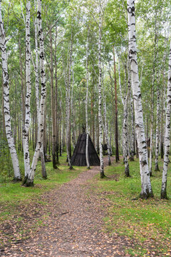Evenk camp in a birch forest on a summer day