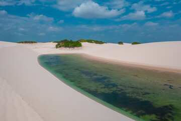 Landscape of crystalline freshwater lagoon with blue sky of white clouds in the dunes of Lençóis Maranhenses National Park, Maranhão - Brazil