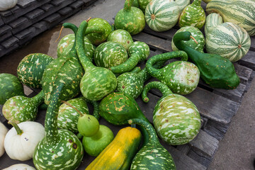 Top view of green gourds on a table