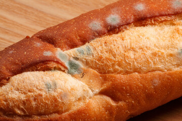 パンに発生したカビ