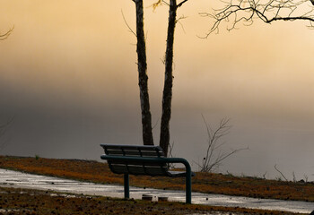 bench in the fog