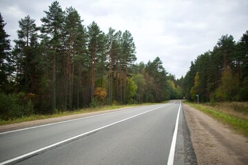 Empty asphalt countryside road in the forest. Driving, traveling concept 