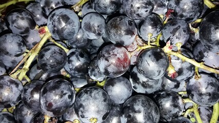 grapes in a basket