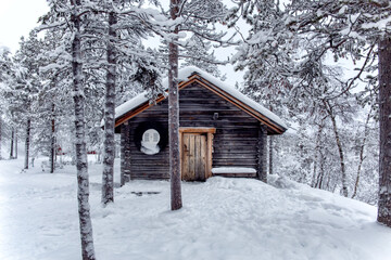 cabin in the snowy forest of finland