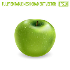 Fresh green apple on a white background.