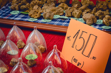 White Truffles (Tuber Magnatum Pico) on a trader stall of the Fiera del Tartufo (Truffle Fair) of...