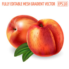 Peaches with leaves on a white background.