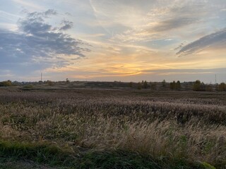 sunset over the field