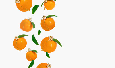 Flying tangerines like christmas bauble decor isolated on white background. Creative concept backdrop for winter holiday. Text space.