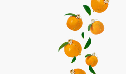 Flying tangerines like christmas bauble decor isolated on white background. Creative concept backdrop for winter holiday. Text space.