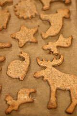Whimsical homemade Christmas cookies on parchment paper. Selective focus.