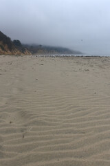 ripples in beach sand