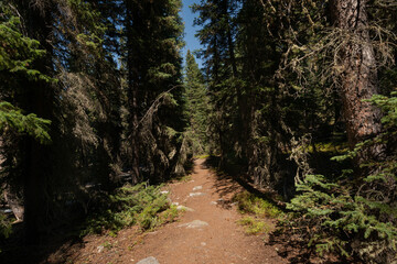 South Clear Creek Campground Trail in Bighorn National Forest, Wyoming. USA. Back to Nature concept.