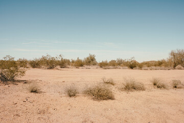 Arizona Desert