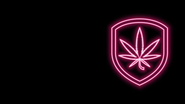 Glowing neon line Shield and marijuana or cannabis leaf icon isolated on black background. Marijuana legalization. Hemp symbol. 4K Video motion graphic animation