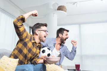 Two men celebrating victory or a goal at home