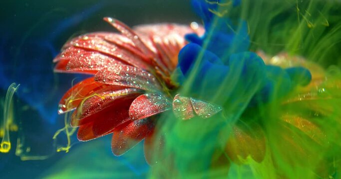 Gorgeous art, colorful ink is flowing all over a flower in the water, 4k