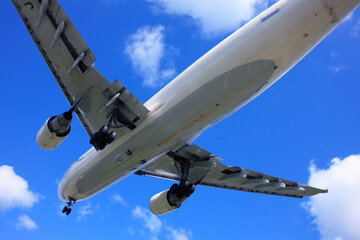 飛行機