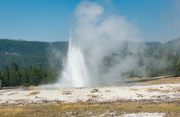 Hot Springs and gushing Geysers at Yellowstone National Park wilderness area atop a volcanic hot spot. USA.