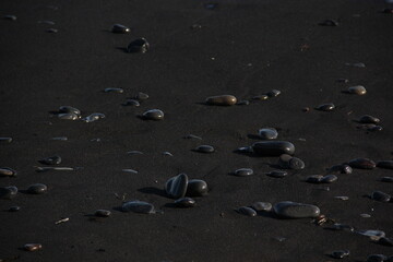 Rocks on black Icelandic sand beach