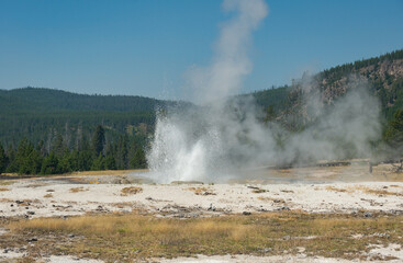 Hot Springs and gushing Geysers at Yellowstone National Park wilderness area atop a volcanic hot spot. USA.