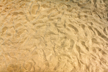 Fototapeta na wymiar background and texture of sand pattern on a beach in summer