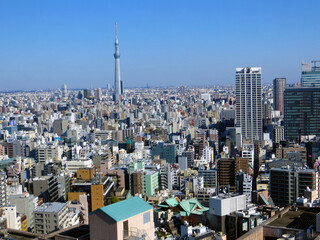 Naklejka premium Tokyo Sky Tree Tower view from a skyscraper