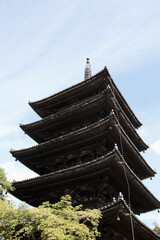 Fototapeta premium 八坂の塔