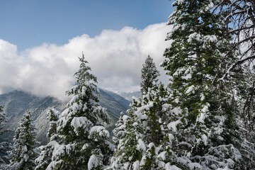 Storm Castle Peak trail in Custer Gallatin National Forest, Montana. USA. Back to Nature concept.