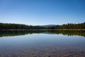 Holland Lake and Falls trail in Flathead National Forest, Montana. USA. Back to Nature concept.