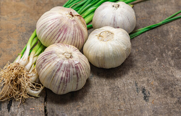Garlic bulb and leaves on old wooden background