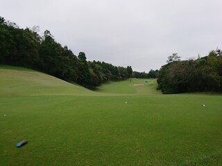 golf course with hole