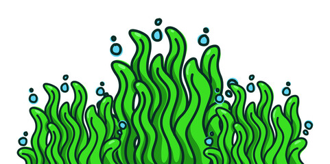 illustration graphic of green seaweed
