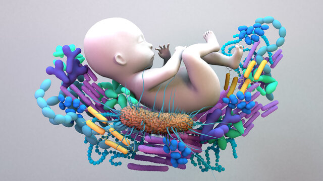 Baby Microbiome, the infant gut microbiome, genetic material of all the microbes.