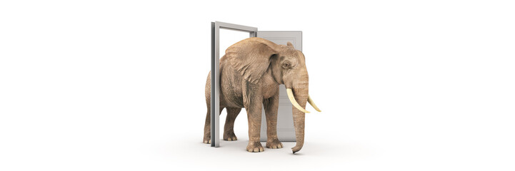The big elephant enters opened door. 3d rendering