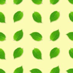 Seamless pattern. Green leaves isolated on a yellow background