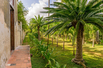 Yaxcopoil Hacienda, Yucatan, Mexico